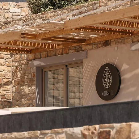 ヴィラ Gkf Luxury Naxos City